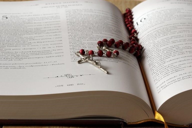 bible study guide pdf