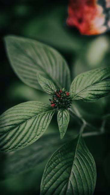 kodak ektar h35 user manual